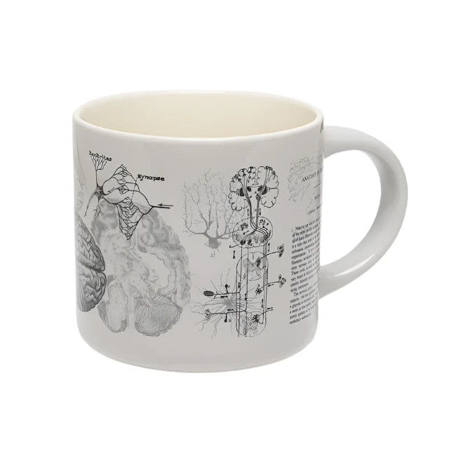 Brain Anatomy Ceramic Mug