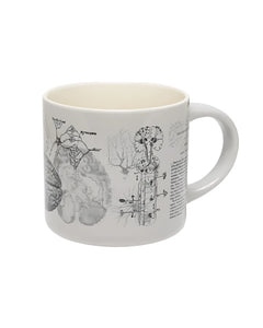 Brain Anatomy Ceramic Mug