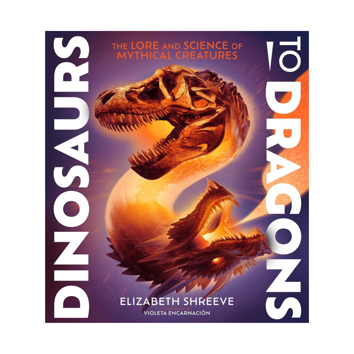 Dinosaurs to Dragons