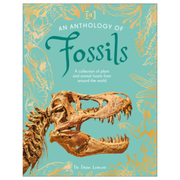 An Anthology of Fossils: A Collection of Plant and Animal Fossils From Around the World