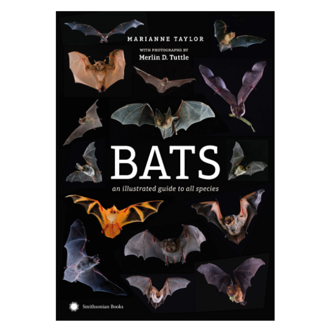 Bats: An Illustrated Guide to all Species