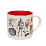 Vascular Anatomy Ceramic Mug