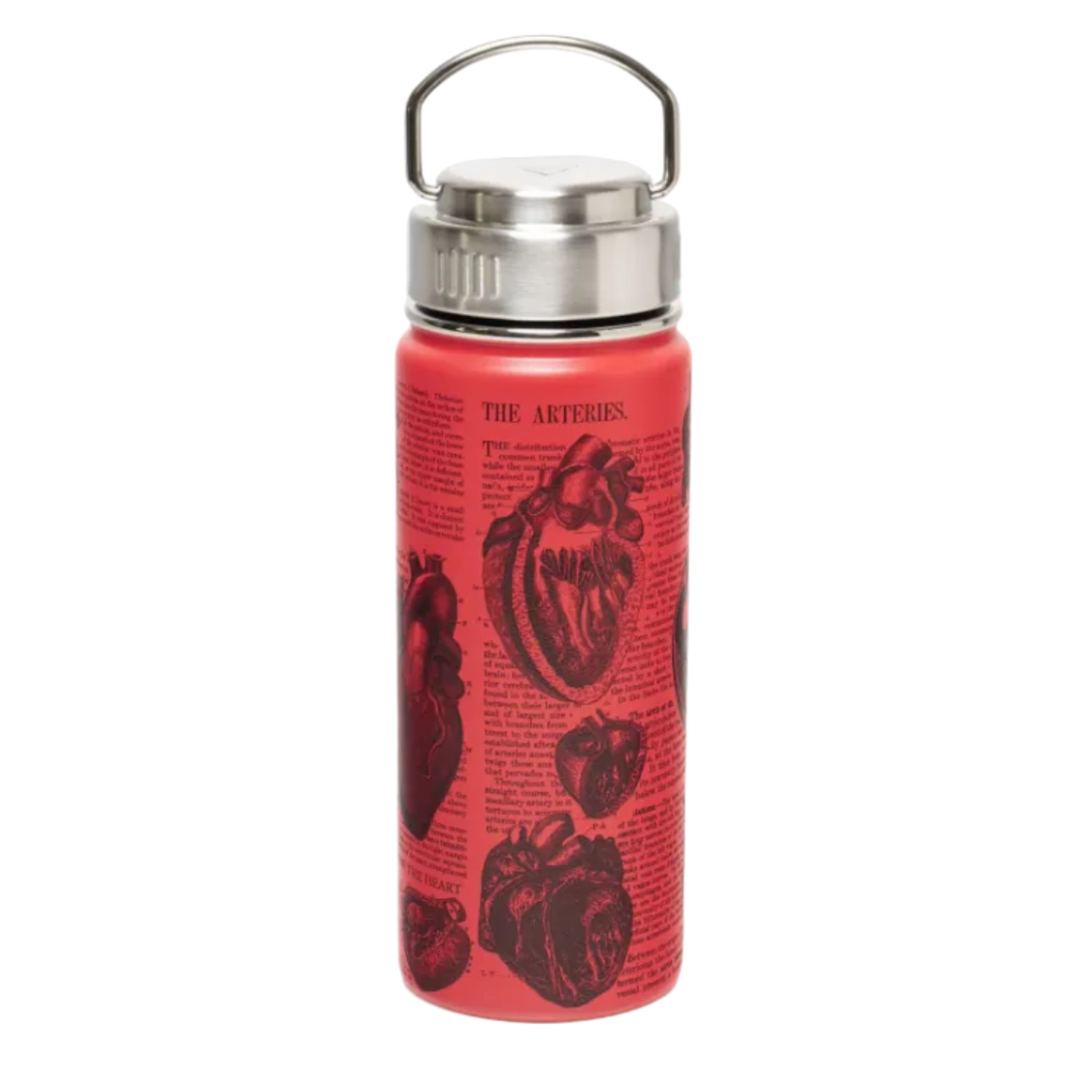Anatomical Heart Thermos