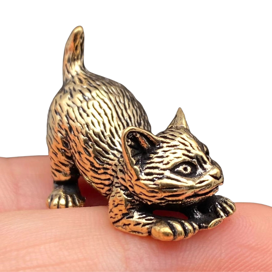 Brass Playing Kitten