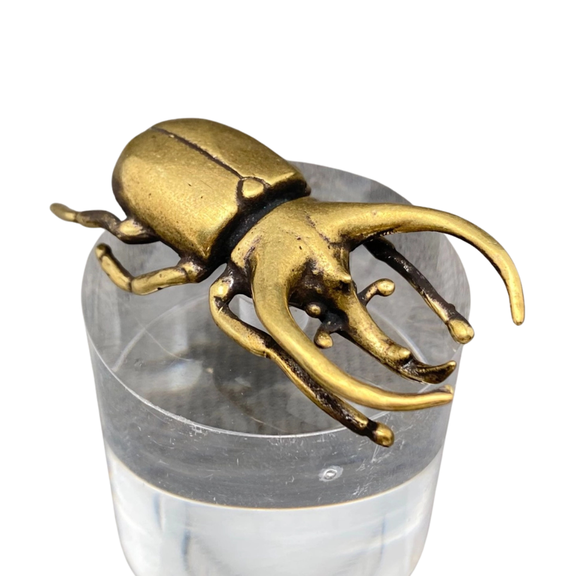 Brass Rhinoceros Beetle Figurine