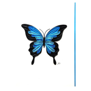 Blue Morpho Quilled Greeting Card