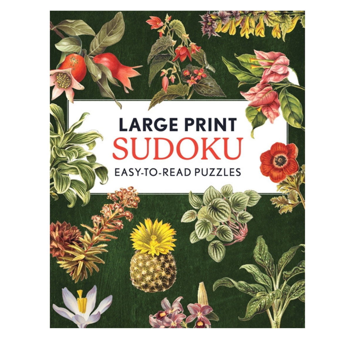 Large Print Sudoku