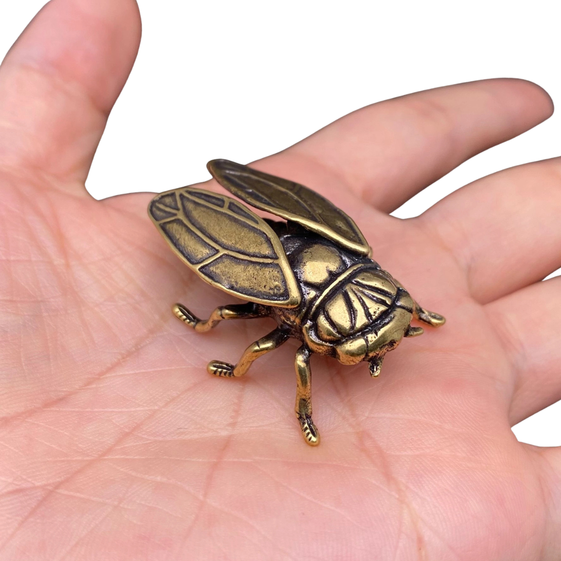 Brass Cicada