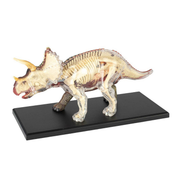 4D Triceratops Vision Model