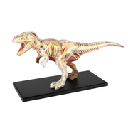 4D T-Rex Vision Model