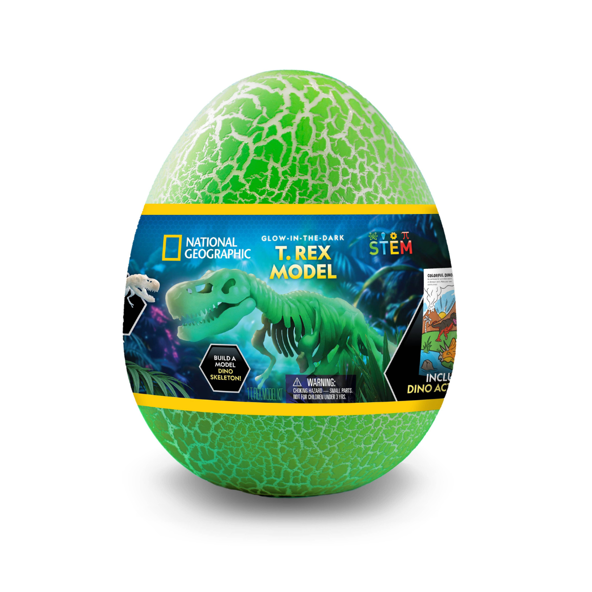 Glow-in-the-Dark T. Rex Skeleton Kit