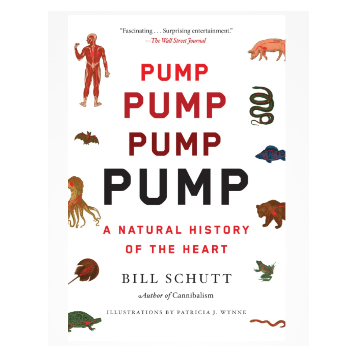 Pump: A Natural History of the Heart
