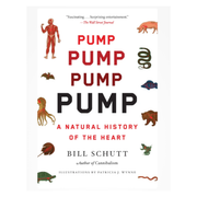 Pump: A Natural History of the Heart