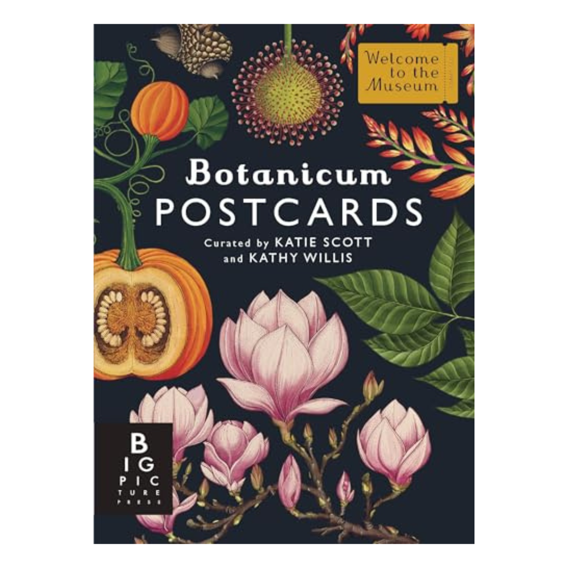 Botanicum Postcard Box Set