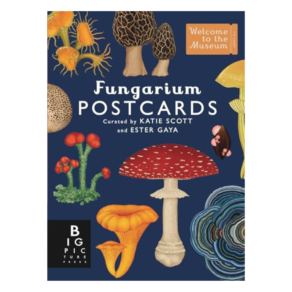 Fungarium Postcard Box Set