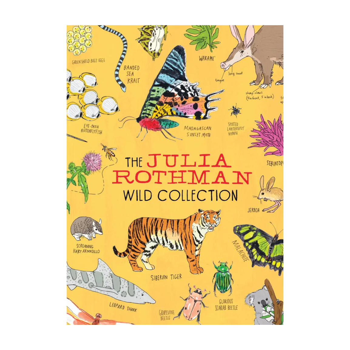 Julia Rothman Wild Collection Book Set