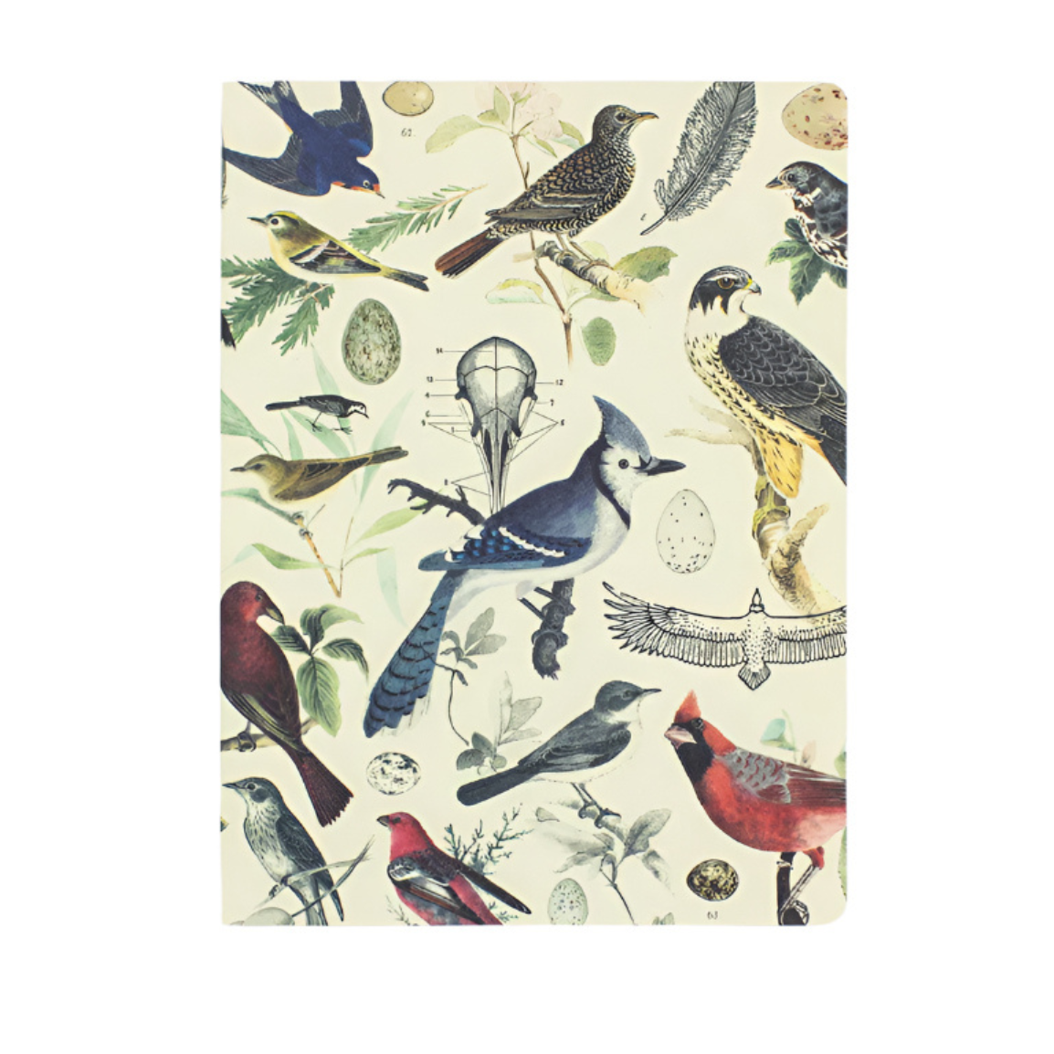 Ornithology Softcover Experiment Notebook