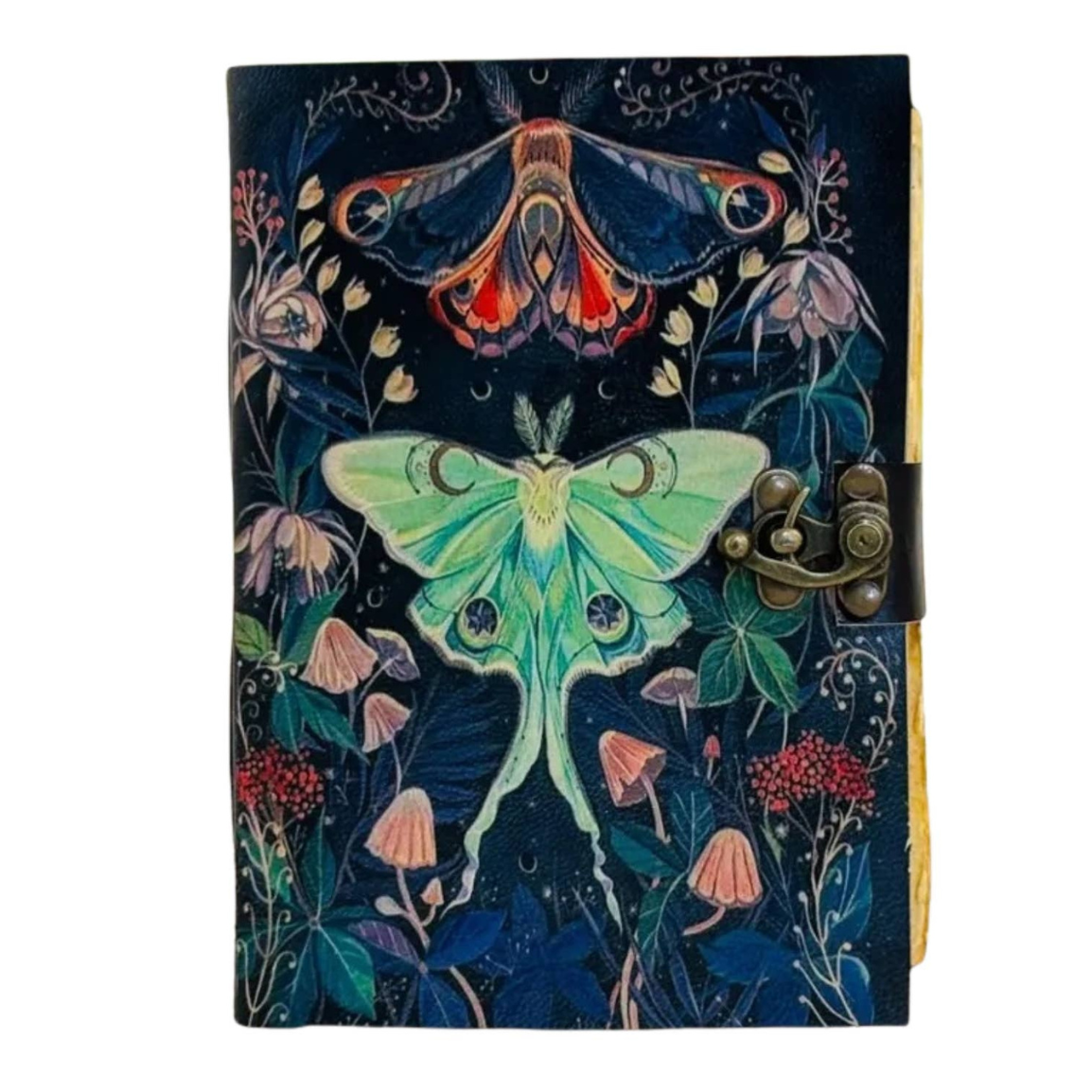 Atlas & Luna Moth Journal