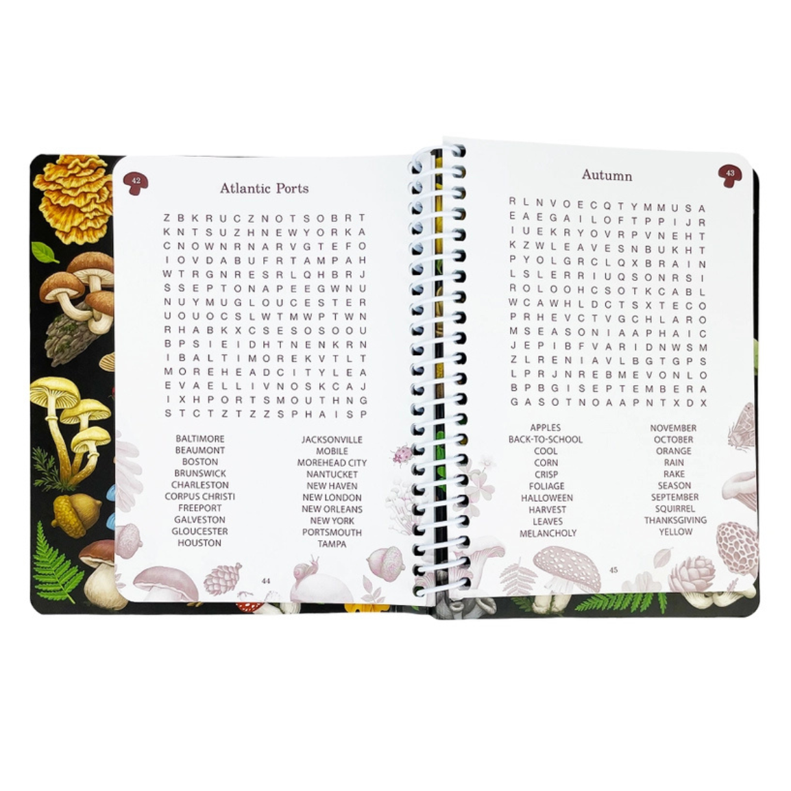 Word Search Puzzles For Clarity