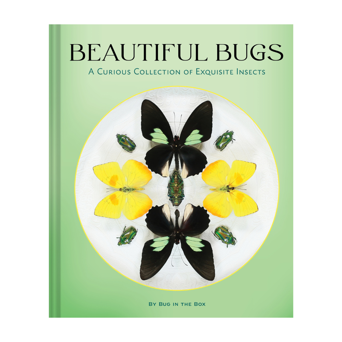 Beautiful Bugs