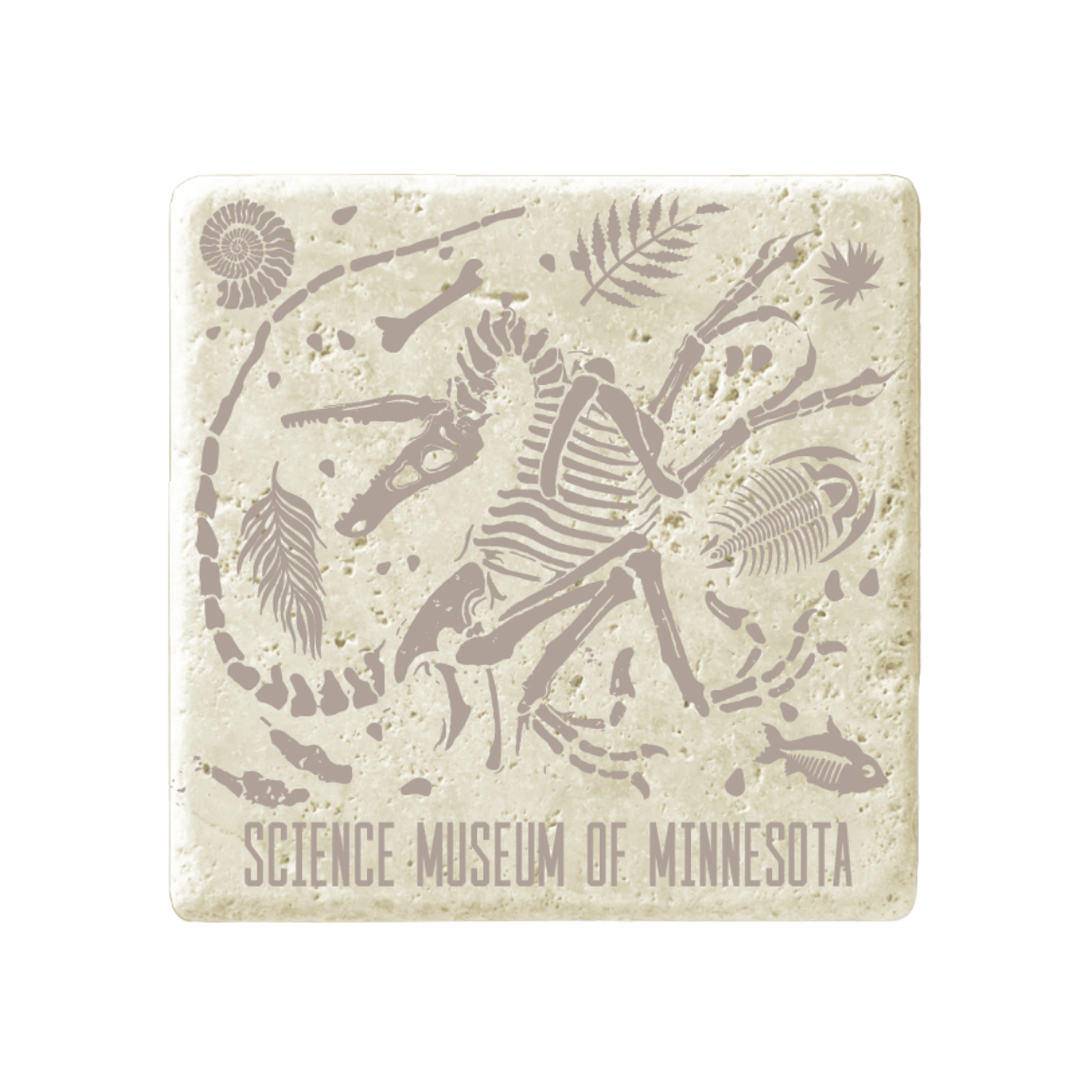 Fossil Print Coaster