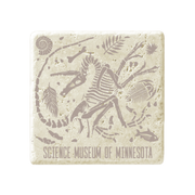 Fossil Print Coaster