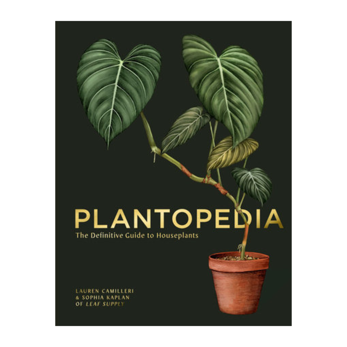 Plantopedia: The Definitive Guide to Houseplants