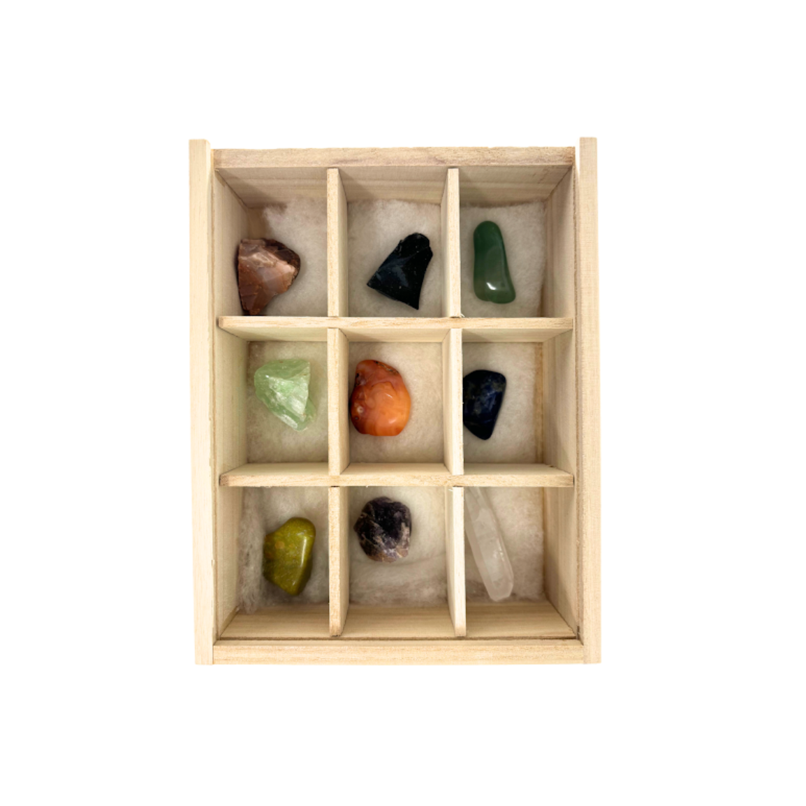 Science Museum of Minnesota Collectors' Corner Rock Starter Kit