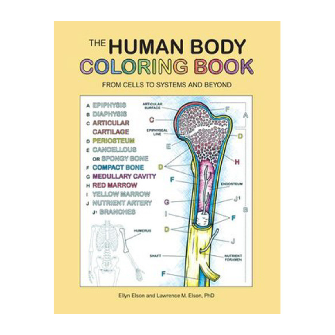 The Human Body Coloring Book: From Cells to Systems and Beyond