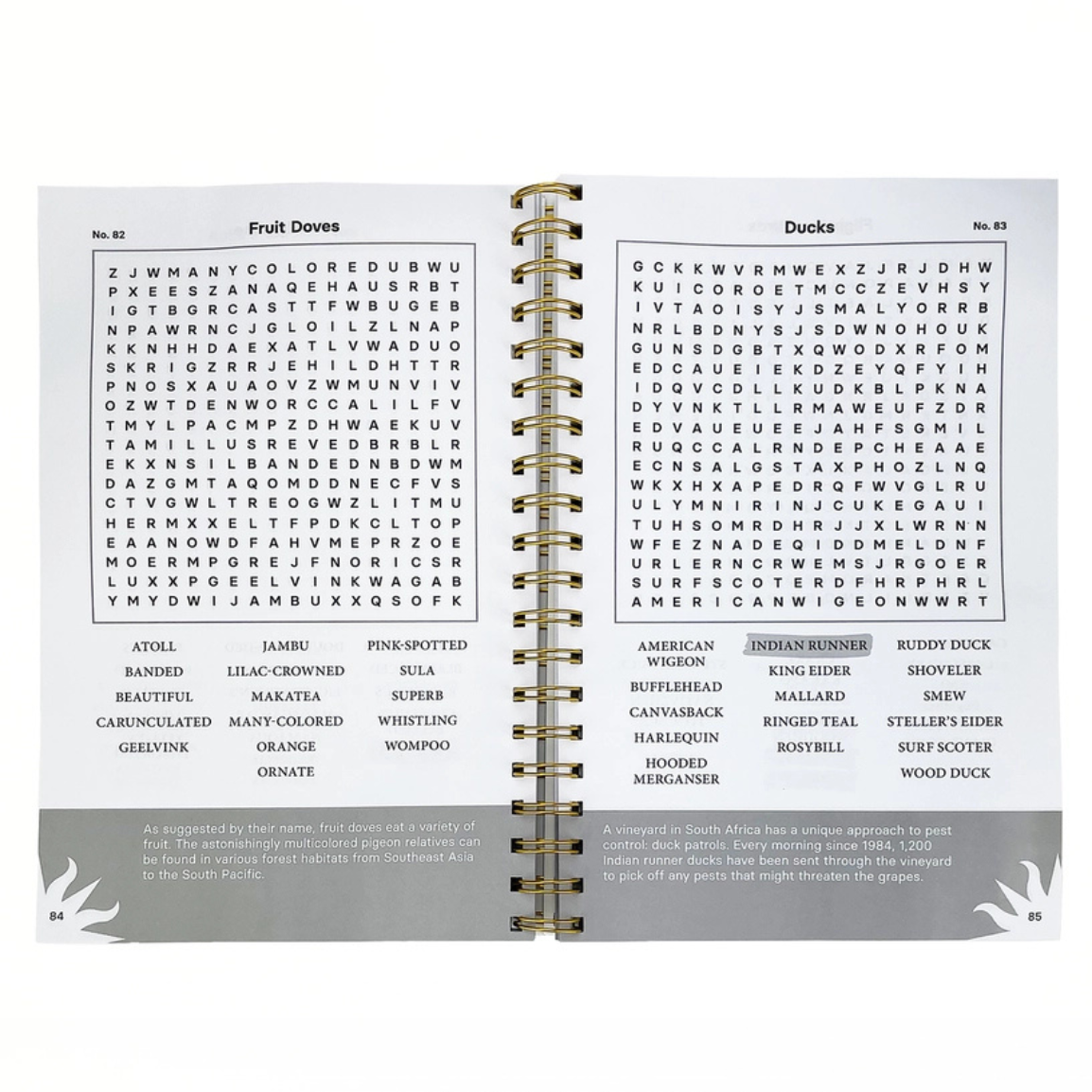 Smithsonian Word Search Birds of the World: Feathers and Flight