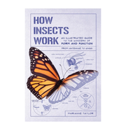 How Insects Work