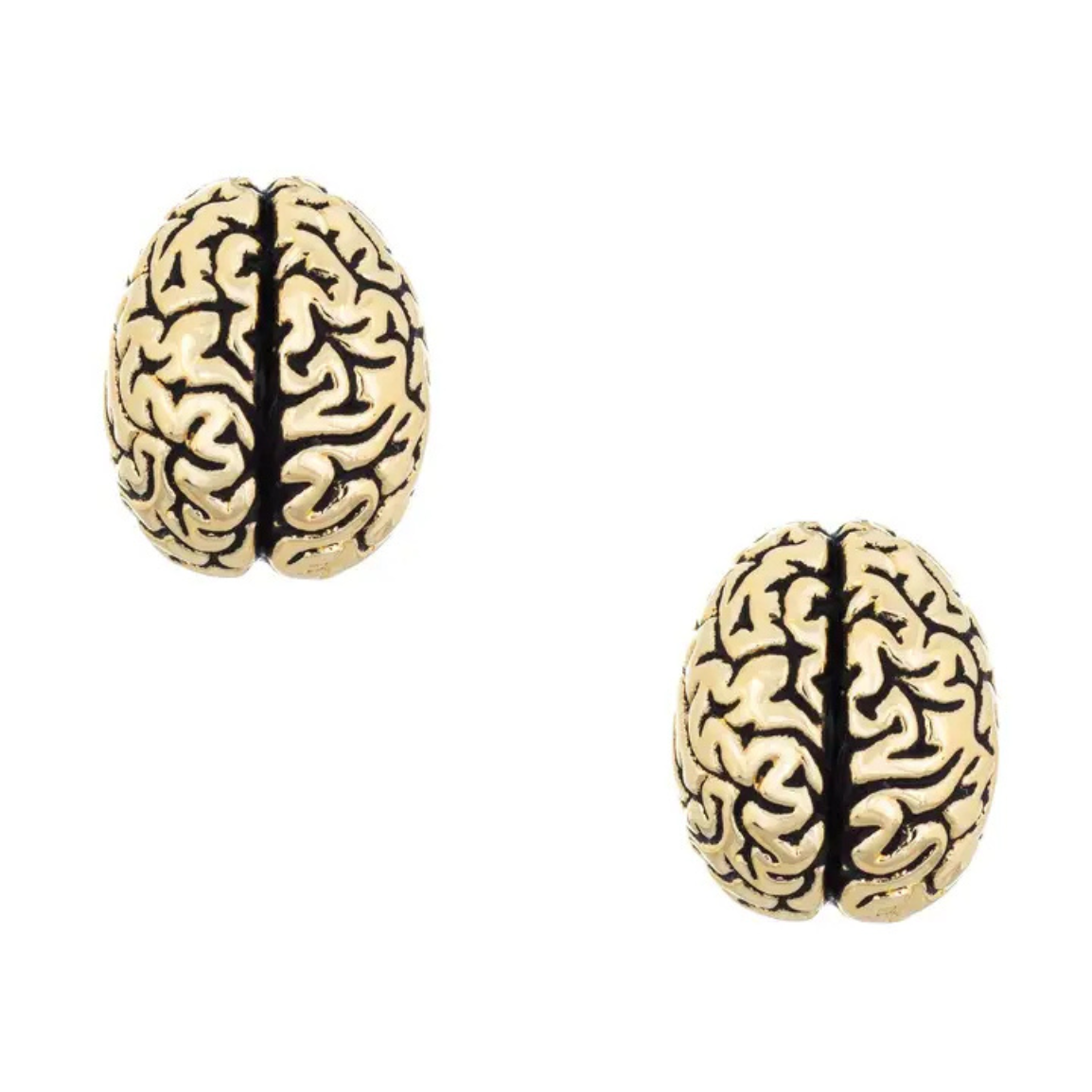 Cortex Stud Earrings