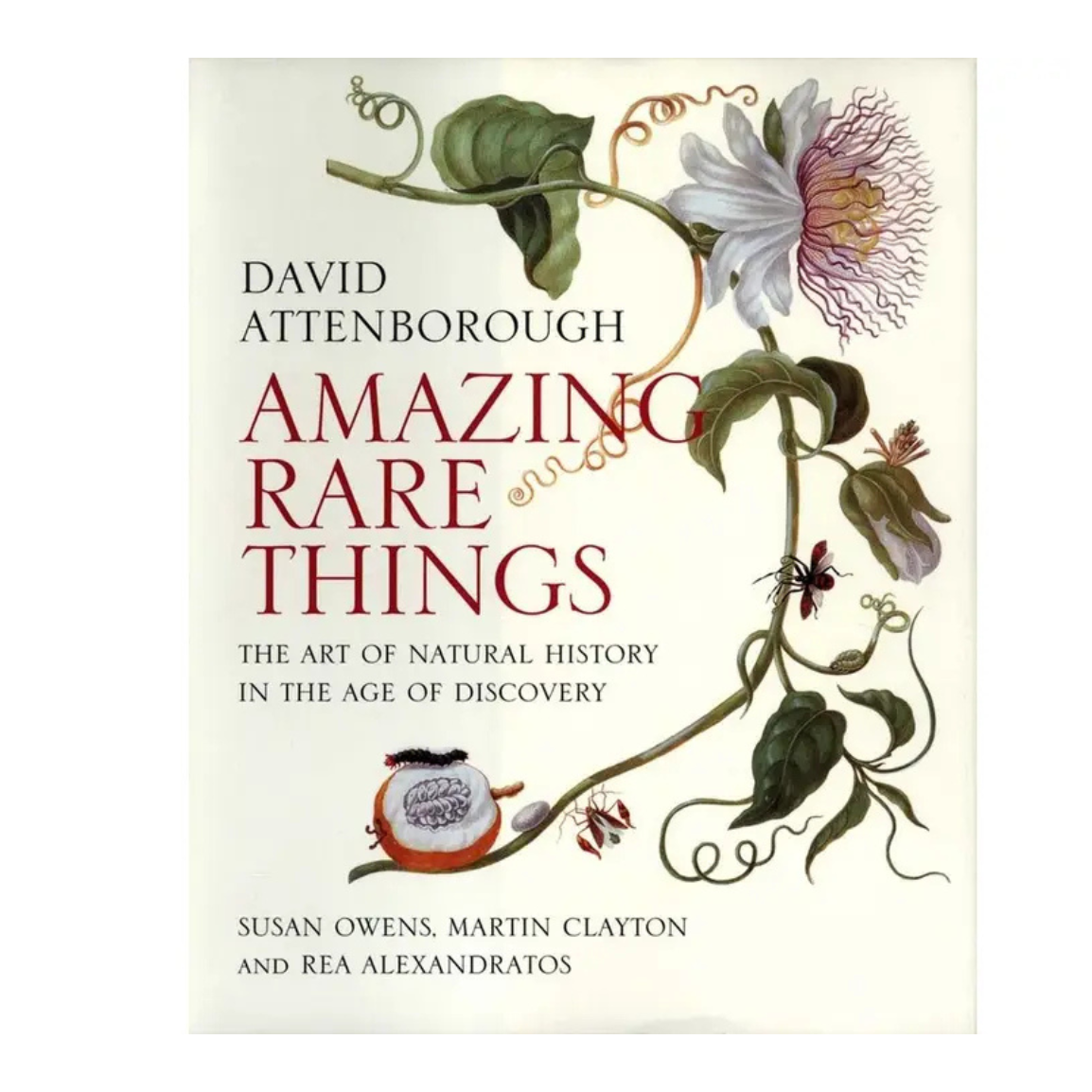 Amazing Rare Things: the Art of Natural History in the Age of Discovery