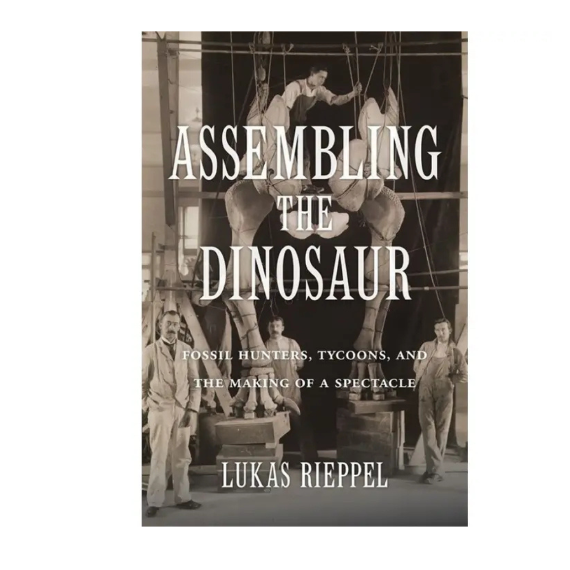 Assembling the Dinosaur