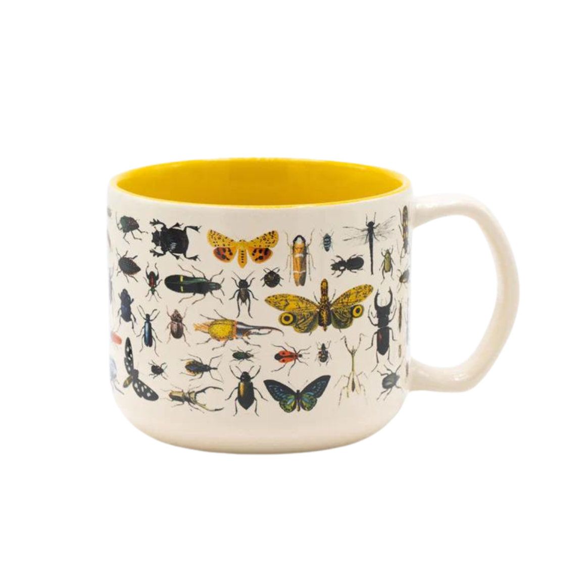 Beetles & Butterflies Ceramic Mug