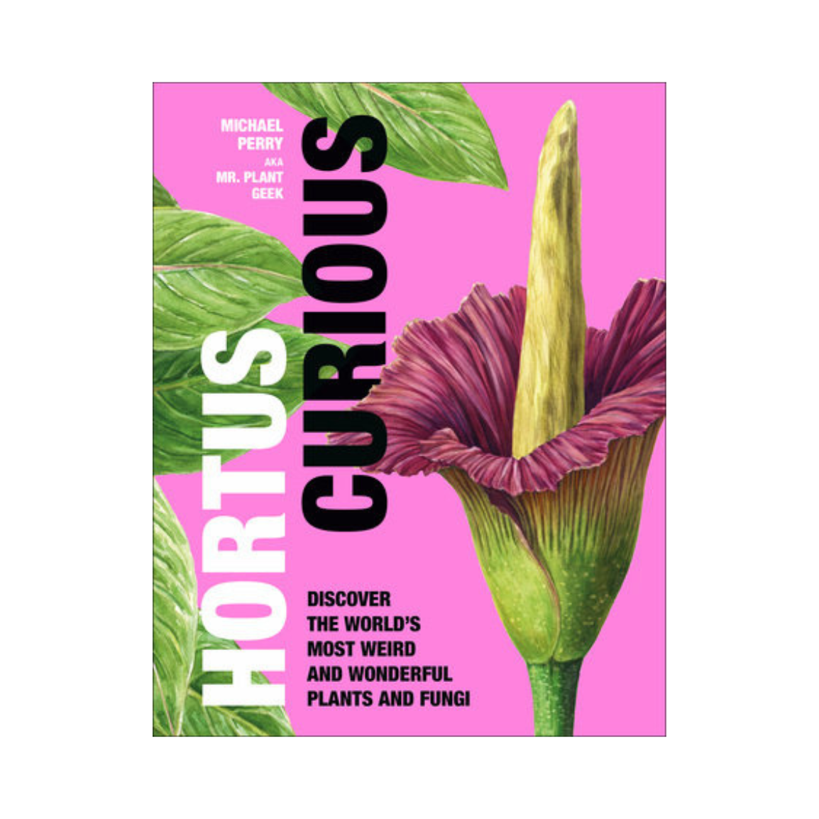 Hortus Curious