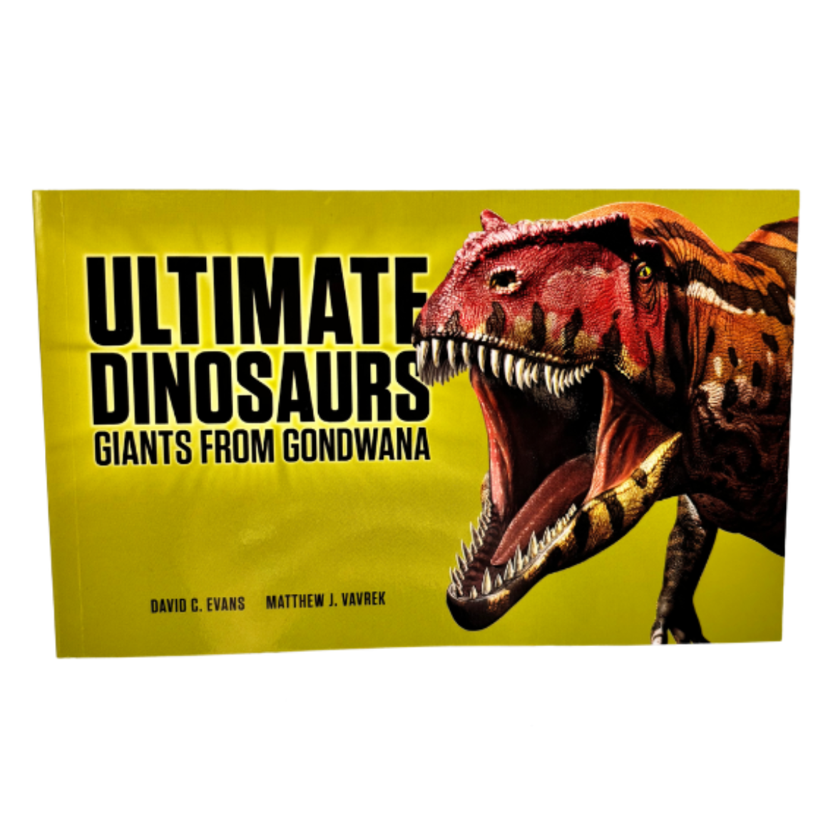 Ultimate Dinosaurs Book
