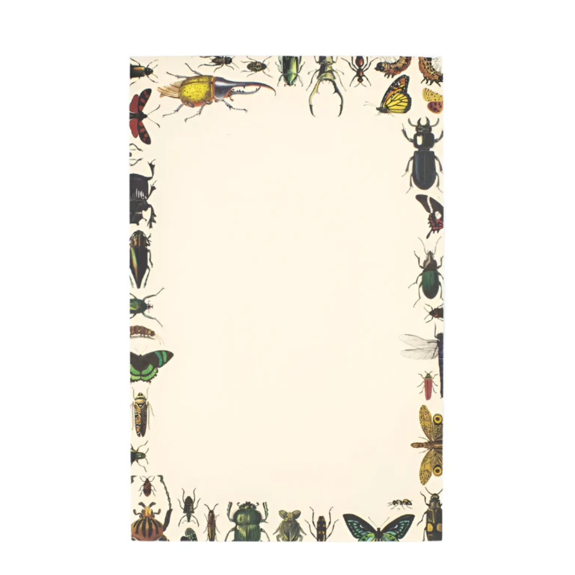 Insect Notepad