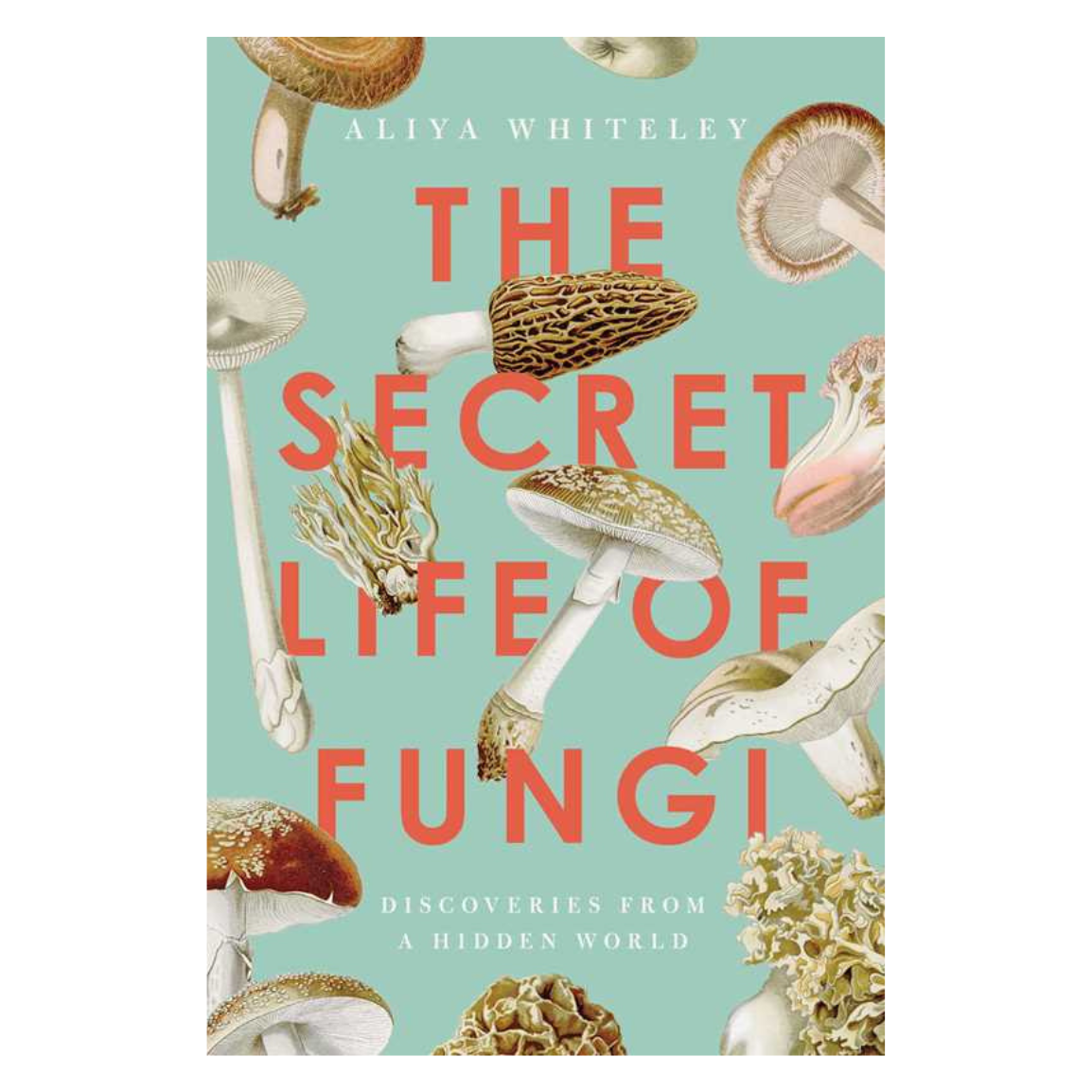 Secret Life of Fungi