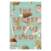 Secret Life of Fungi