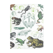 Frogs & Toads Softcover Experiment Notebook