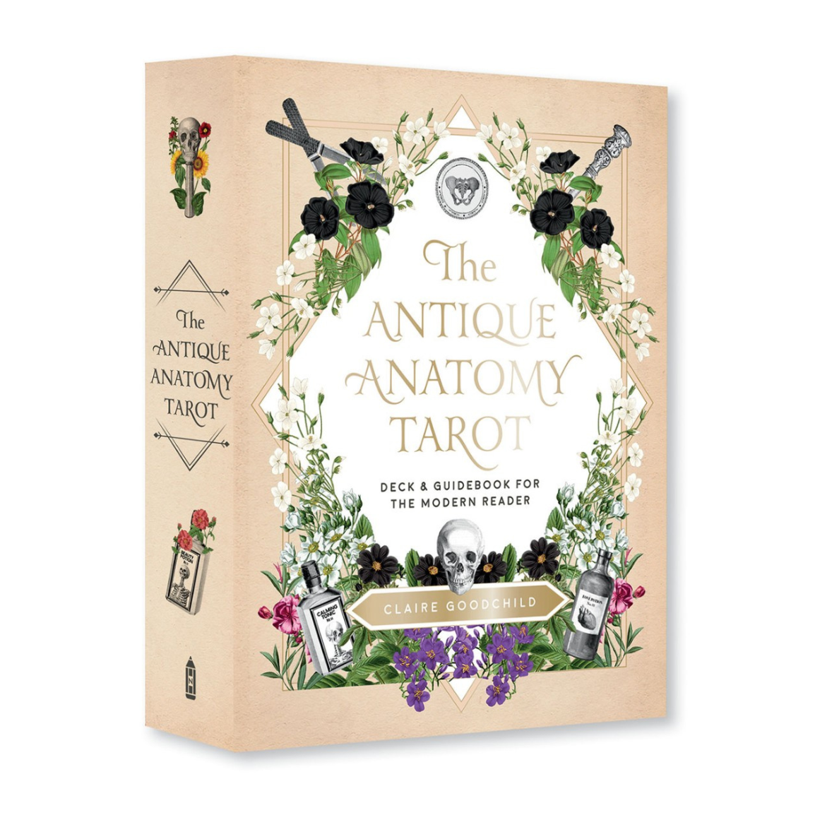 Antique Anatomy Tarot Cards