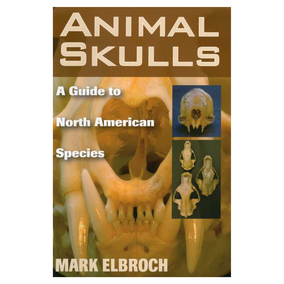 Animal Skulls