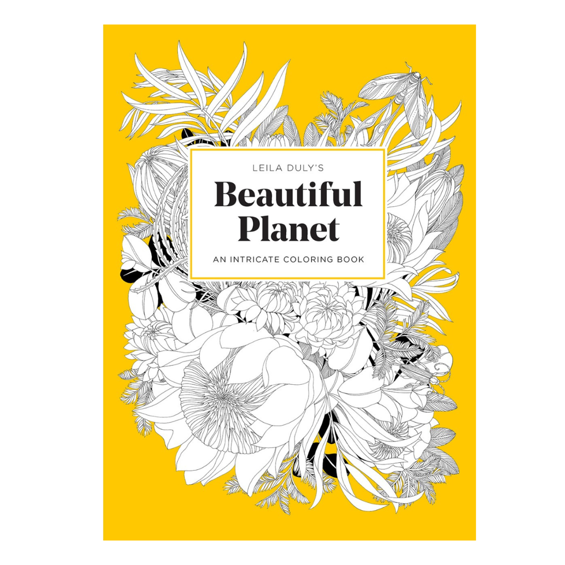 Beautiful Planet: An Intricate Coloring Book