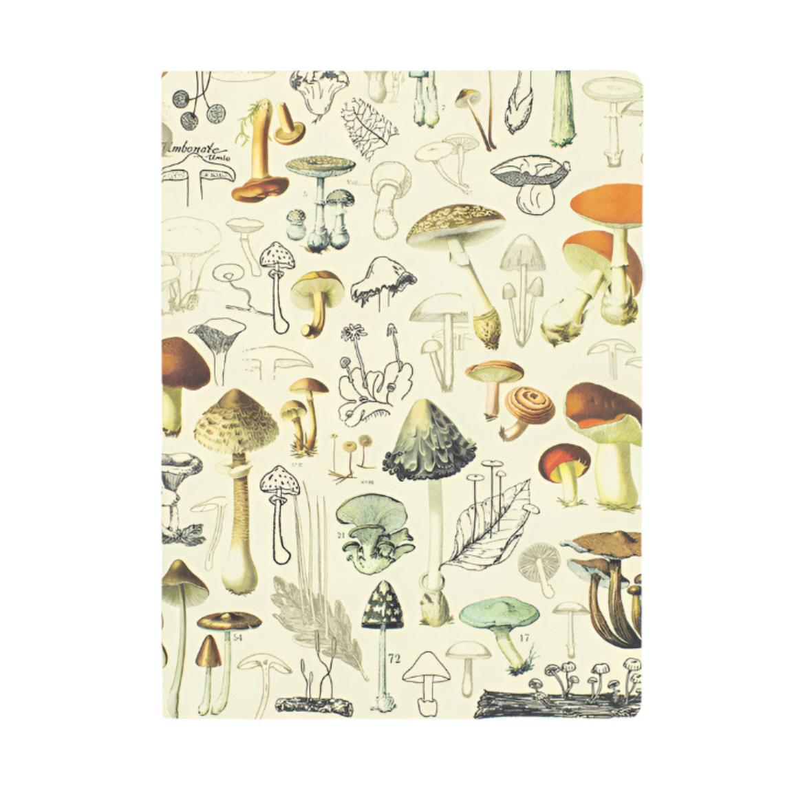 Mushroom Softcover Experiment Notebook