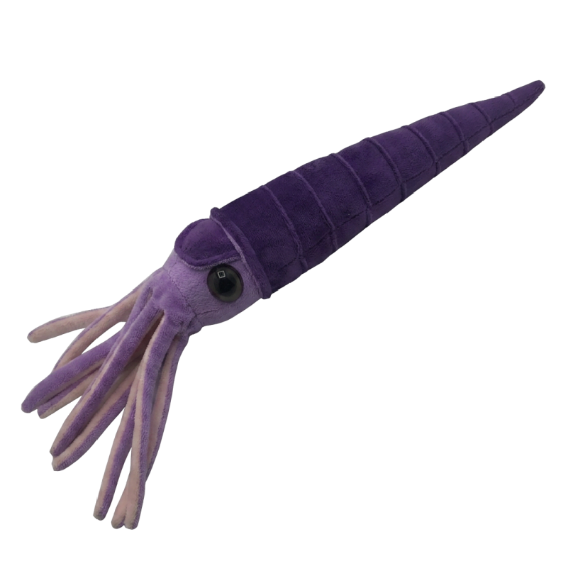 Nautiloid Plush