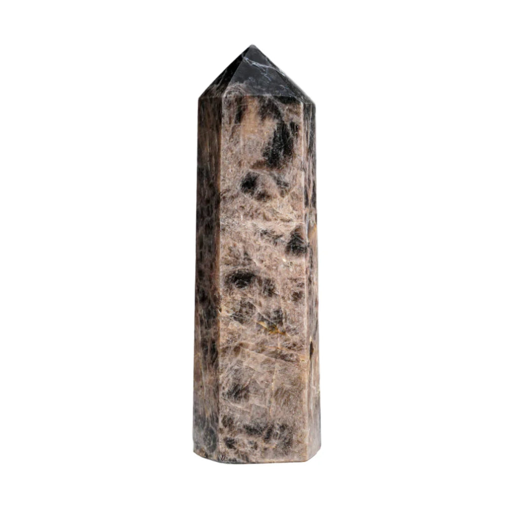 Black Moonstone Point $80.00