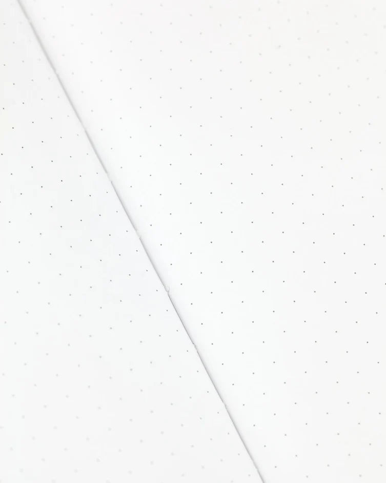 Dinosaur Softcover Experiment Notebook