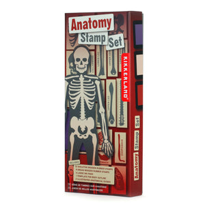 Anatomy Stamp Set