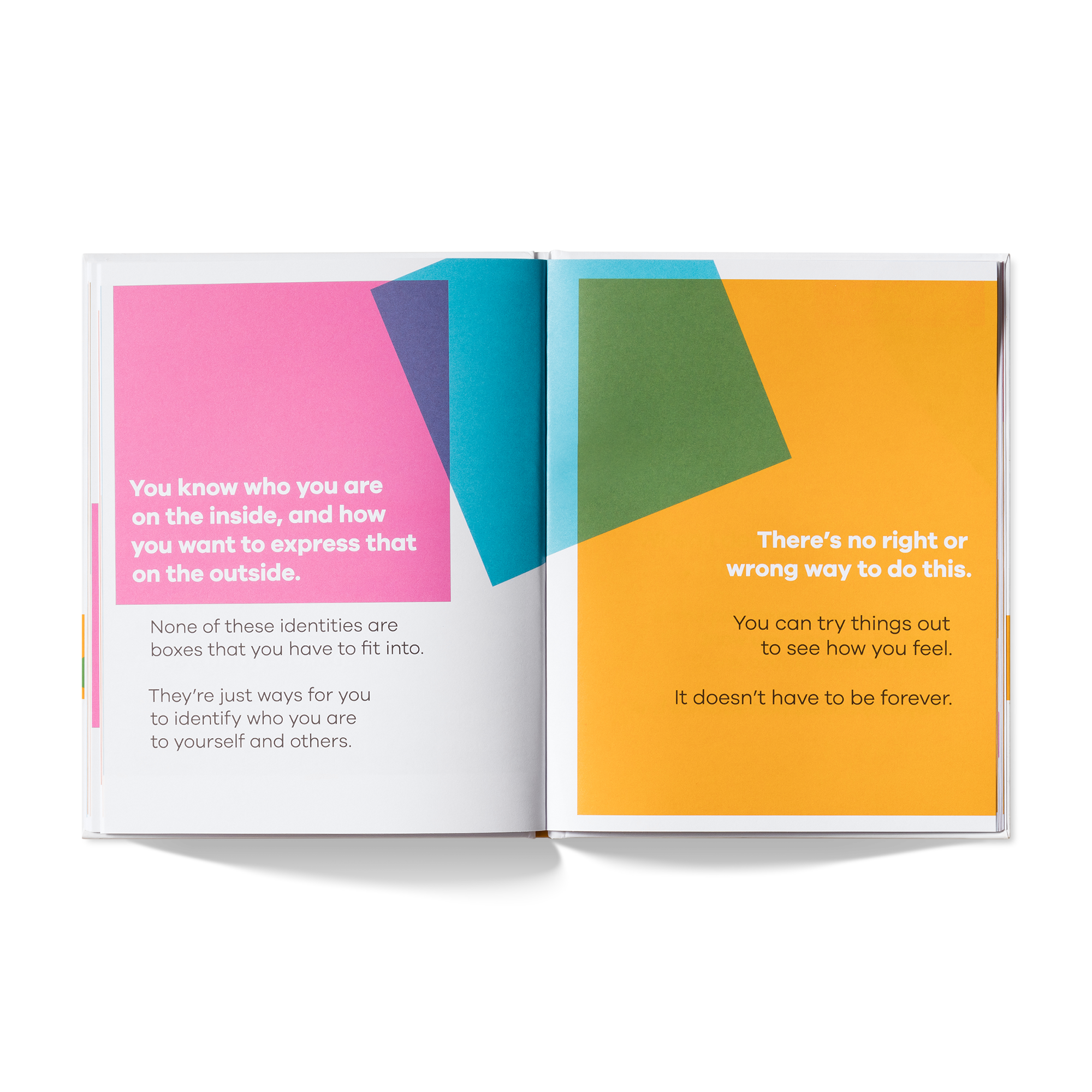 A Kids Book About Gender